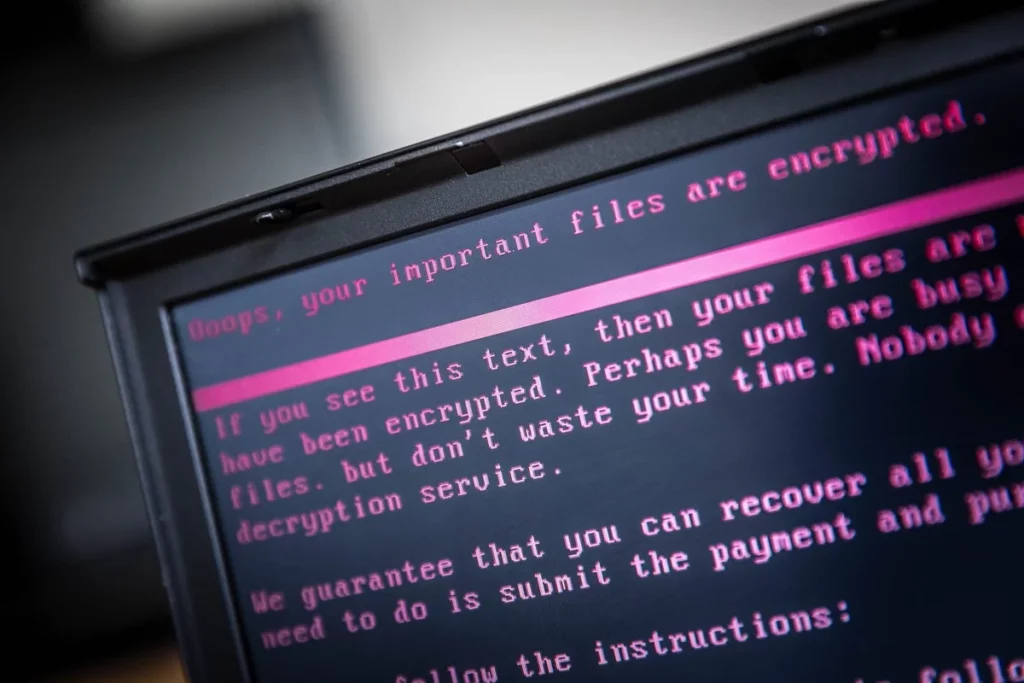 How does a virus destroy your computer.