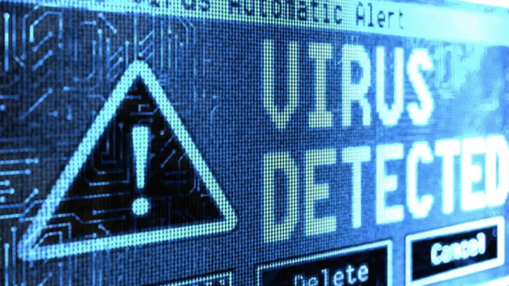 Most used virus file types