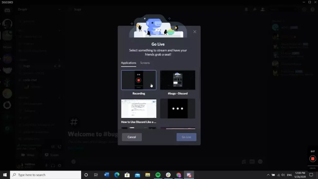 How to share screen in Discord