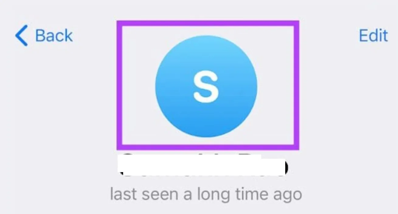 telegram user active online
