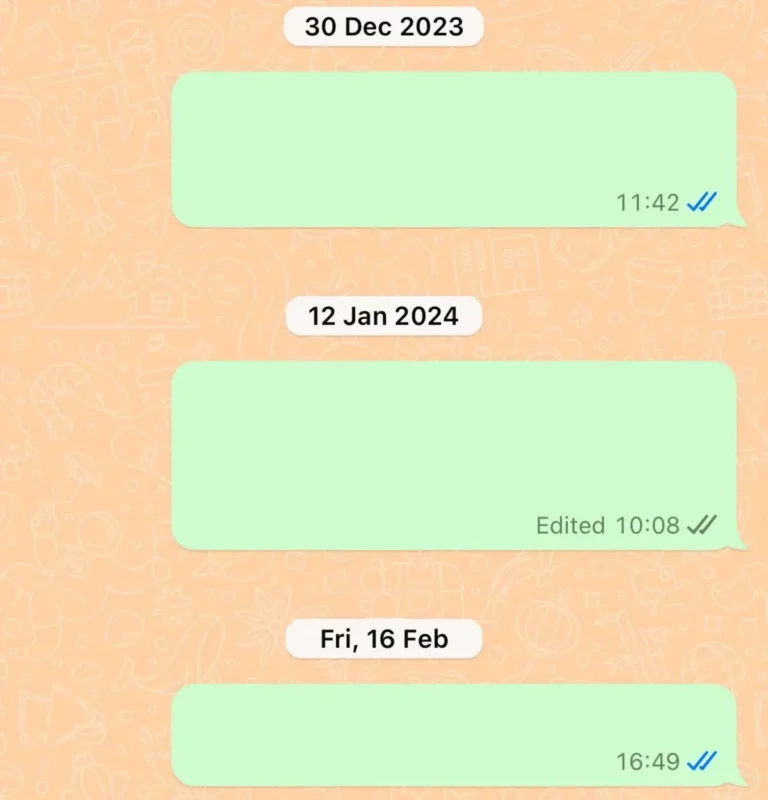 The blue and grey double ticks in WhatsApp