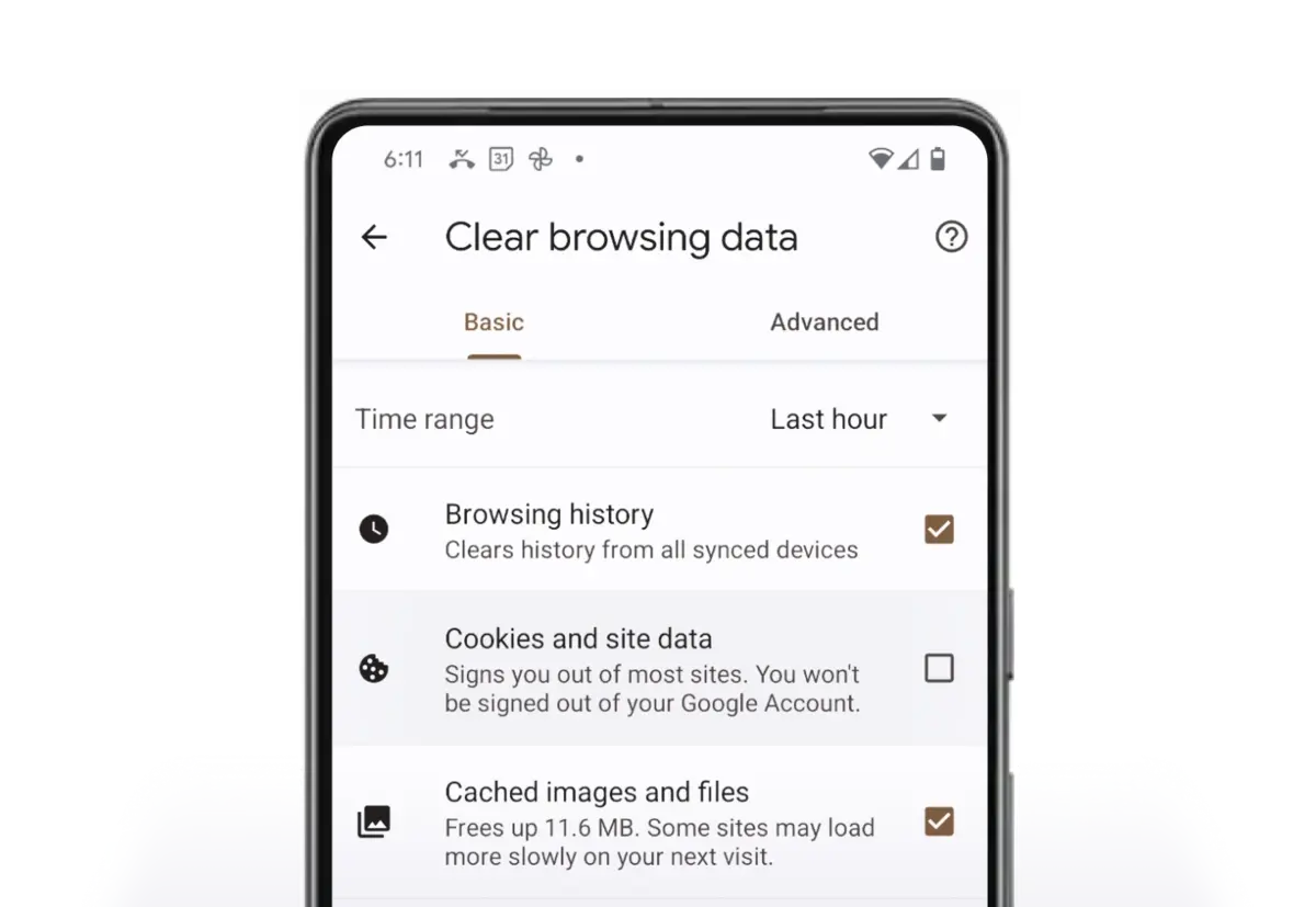 Erase cookies and web browsing history