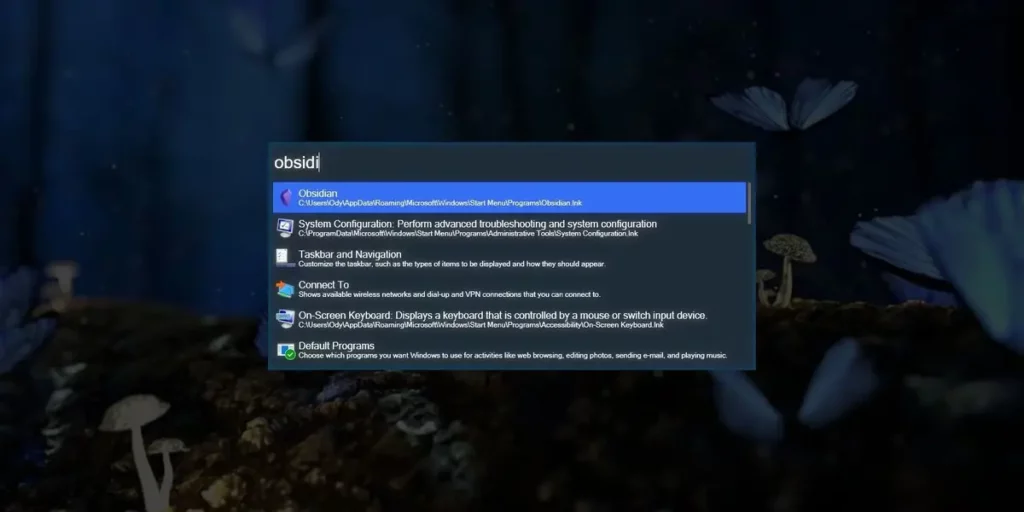 Wox interface