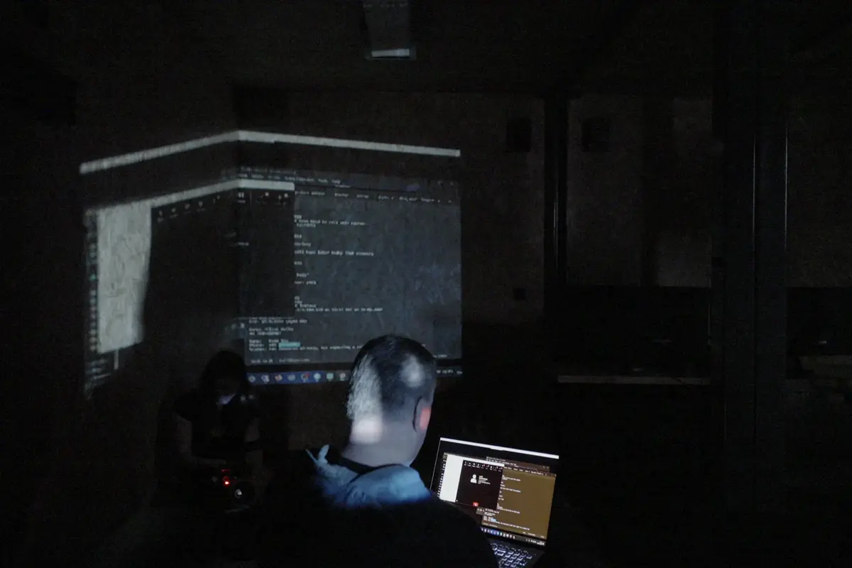 The scambaiting popularity