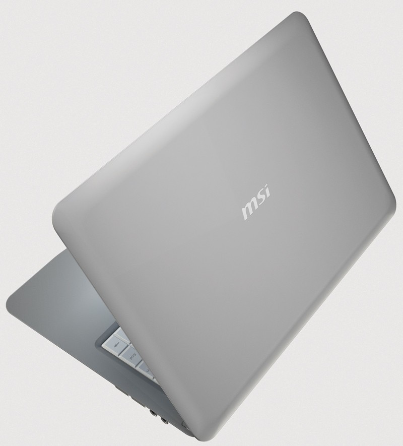 Netbook MSI series 300