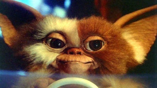 Gremlins es un clásico del cine