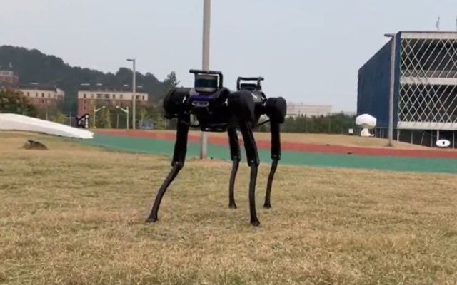 IA: perro robot se levanta solo después de ser derribado