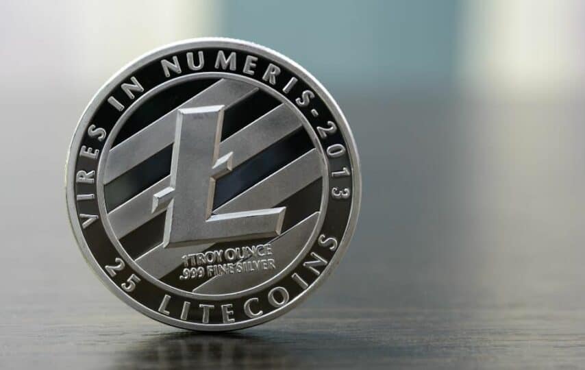 Excelentes noticias para minoristas que tienen Litecoin en sus carteras