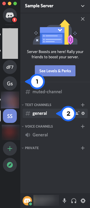 Seleccionamos servidor y canal de Discord.