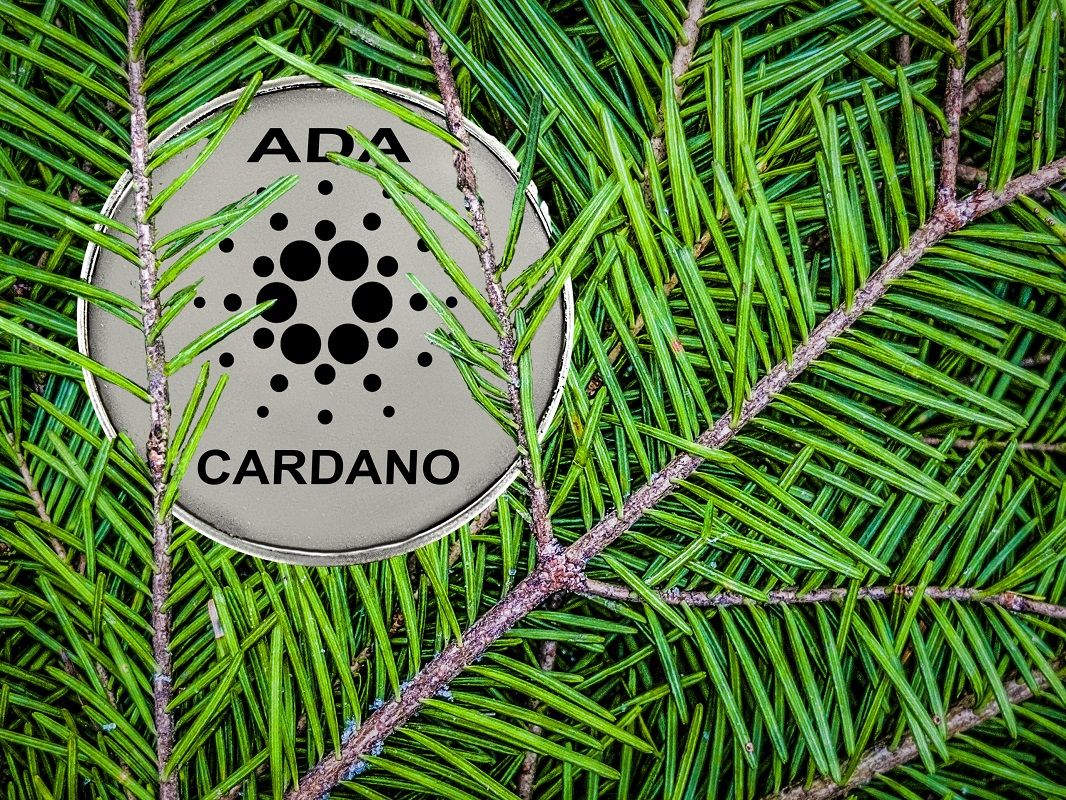 Cardano testnet Alonzo 3