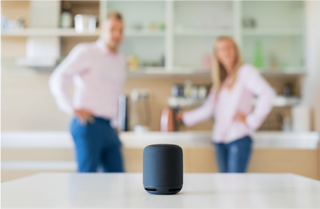 Hub Smart Home 1