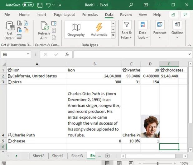 Tipo de datos añadido automáticamente en Excel.