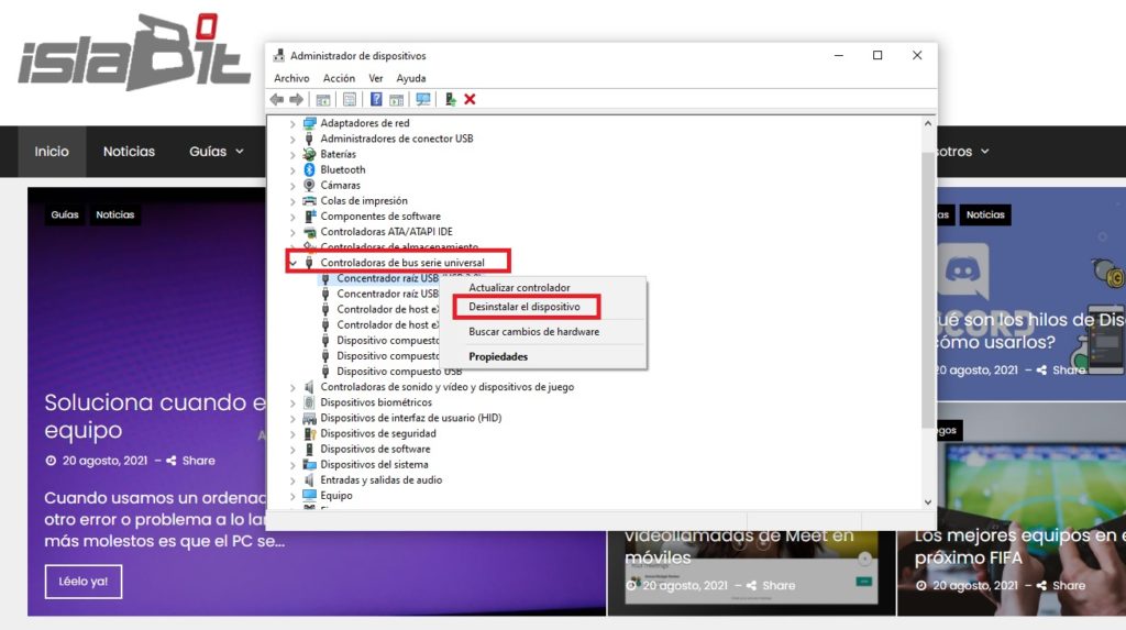 Desinstalar controladores de Windows.