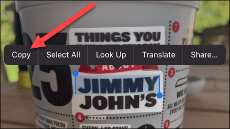 Así podemos copiar texto de imagen en iPhone