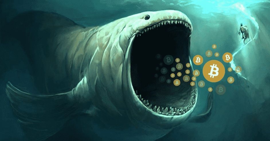 ballenas BTC