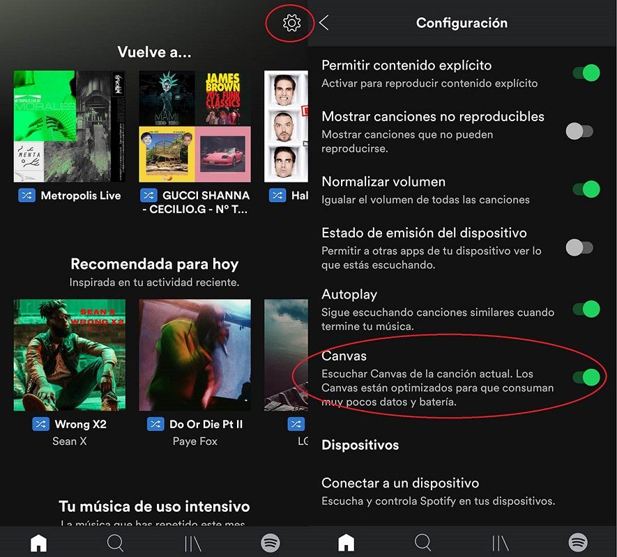 activar desactivar Canvas Spotify 2