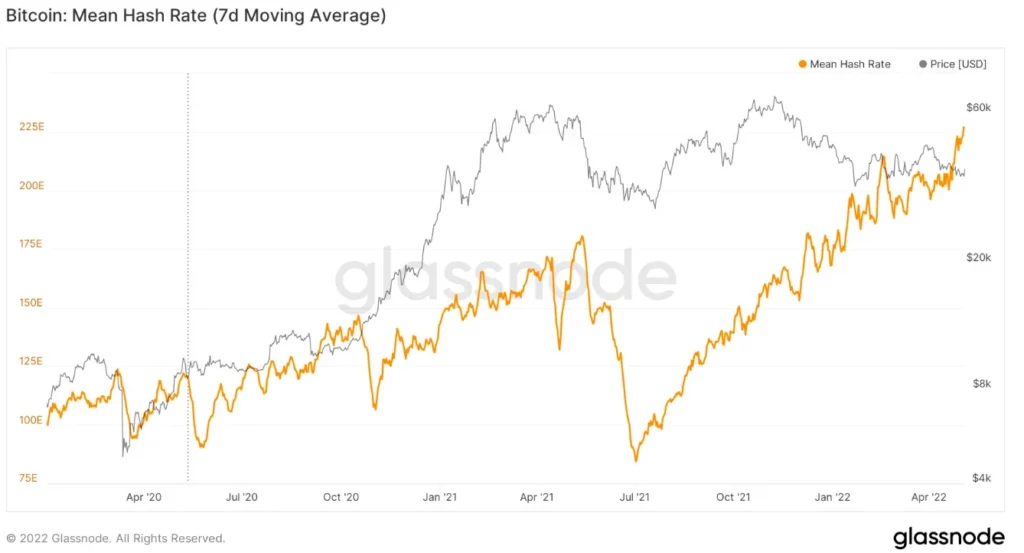 Bitcoin mitad halving 3