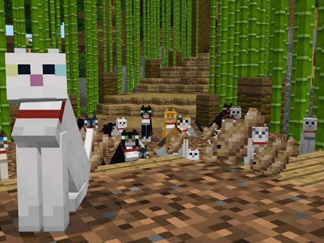 gatos Minecraft 1