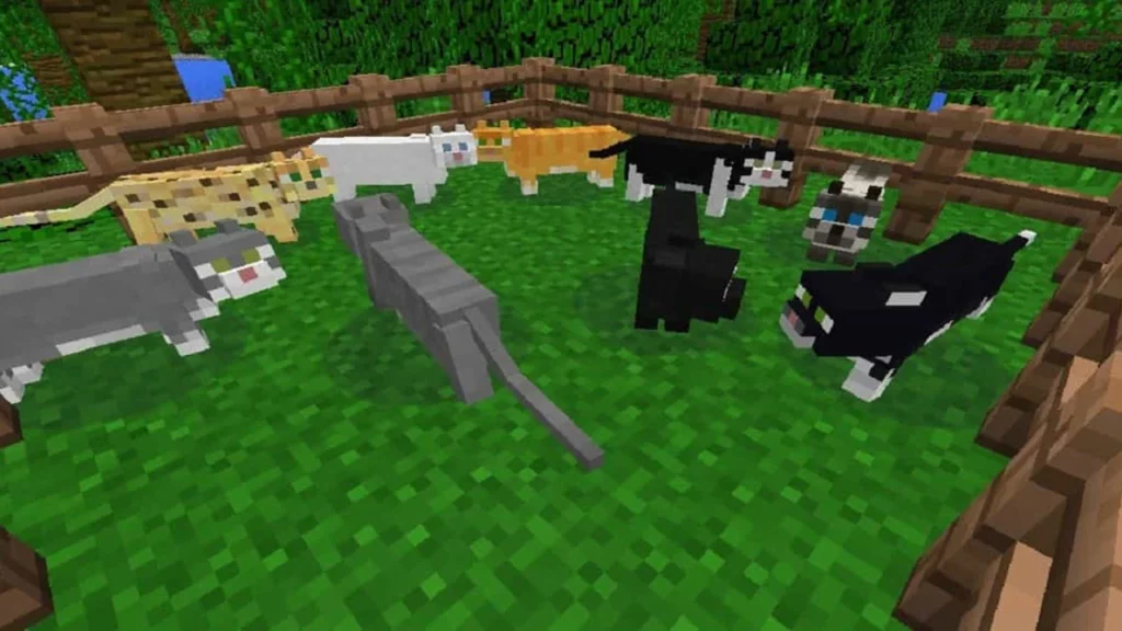 gatos Minecraft 2