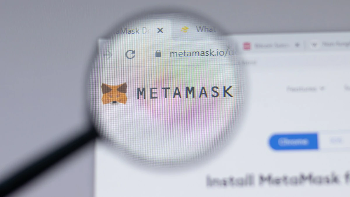 agregar Polygon MetaMask 1