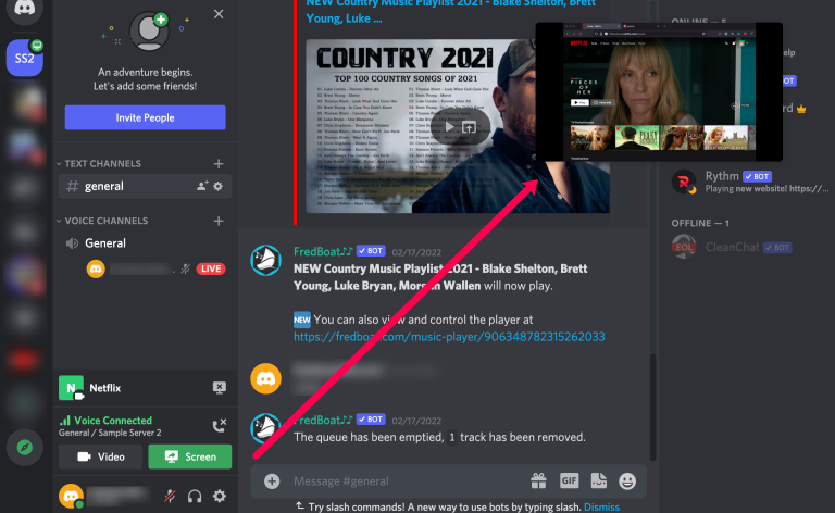 Así podemos trasmitir Netflix en Discord