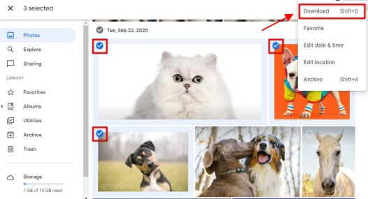 Descargar muchas fotos a la vez de Google Photos desde PC.