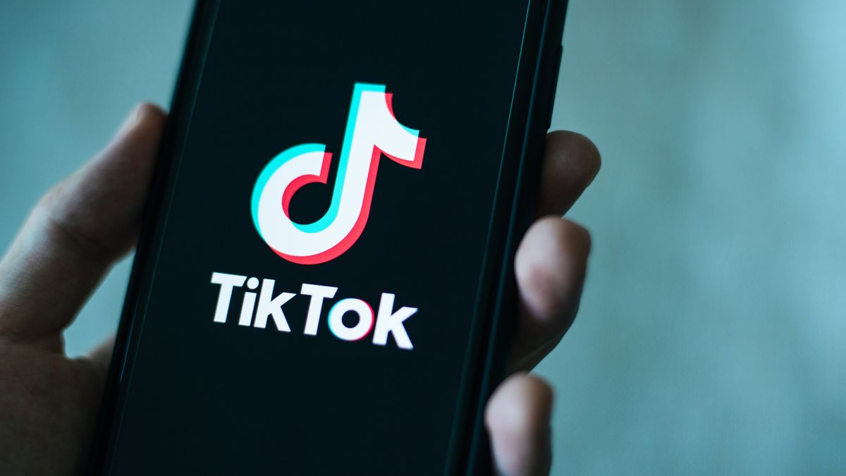 Tiktok programa creatividad