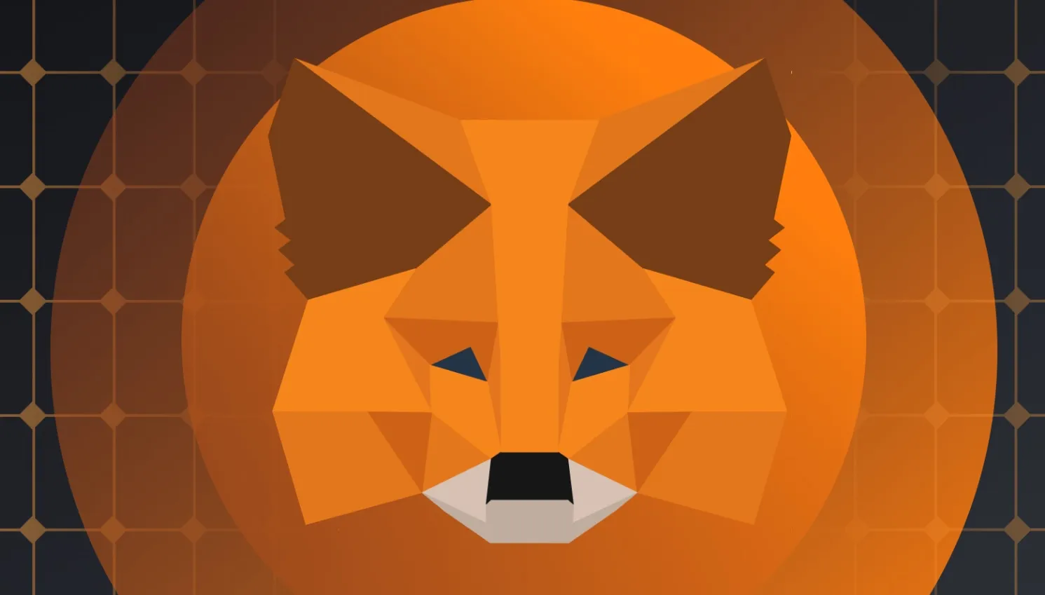 metamask características privacidad