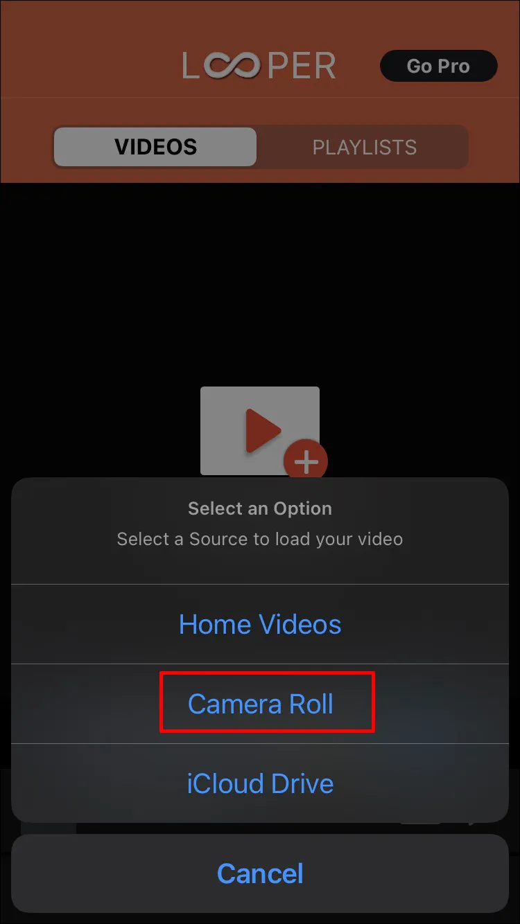 Camera Roll.