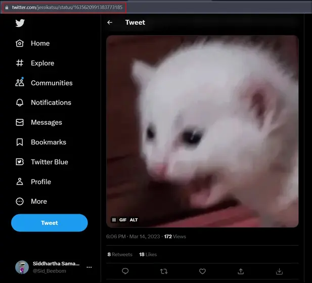 descargar GIF Twitter 2