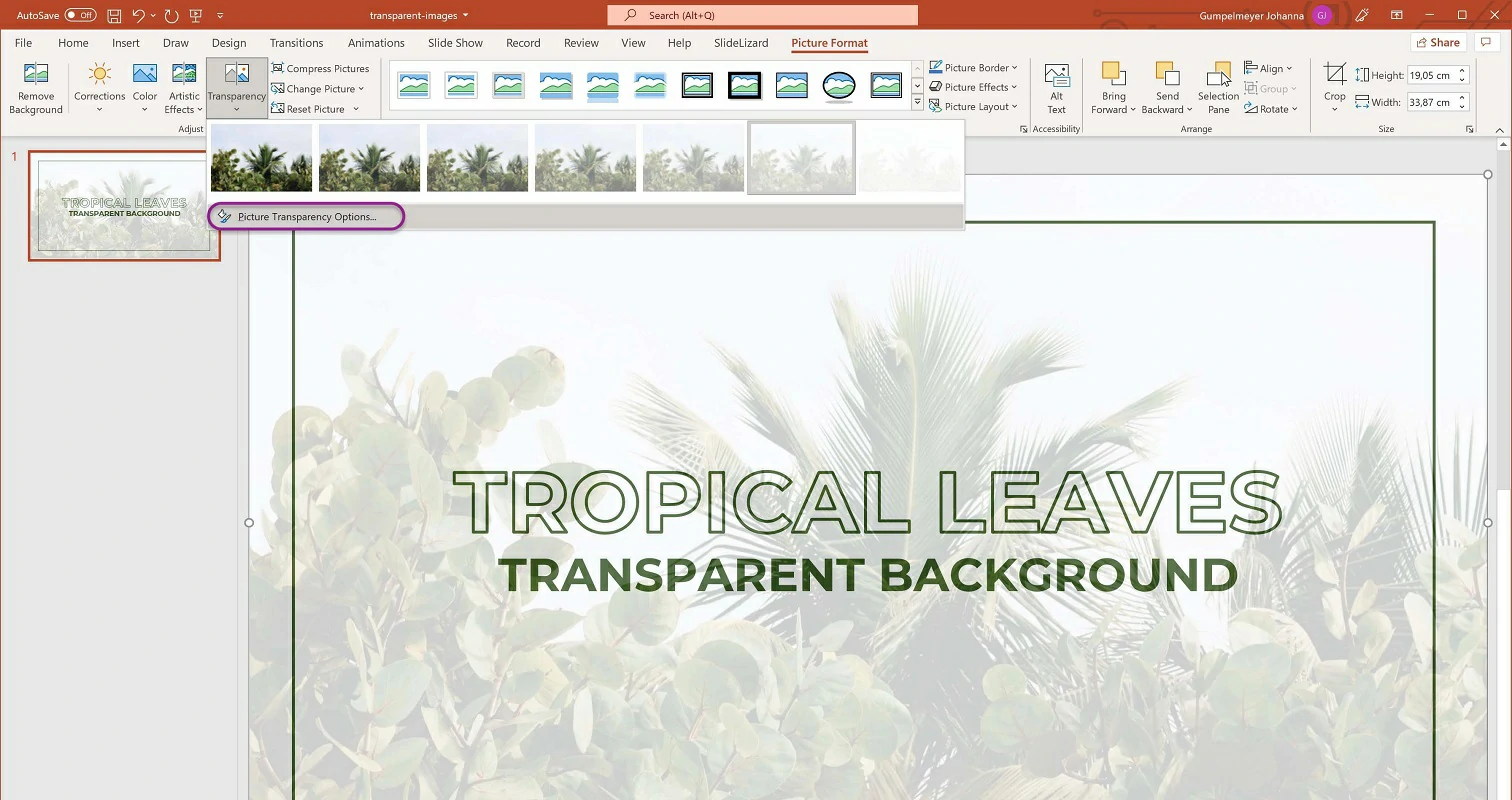 hacer transparente imagen PowerPoint 3