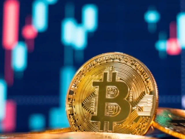Formación avanzada: máster 100 % Bitcoin en la Universidad de las Hespérides