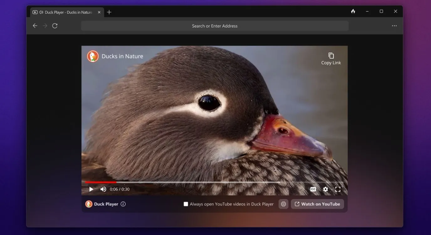 duckduckgo windows privacidad