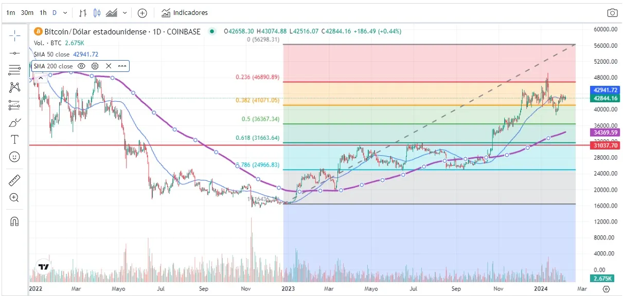 Precio BTC 6 febrero 2024: 31000 bitcoin