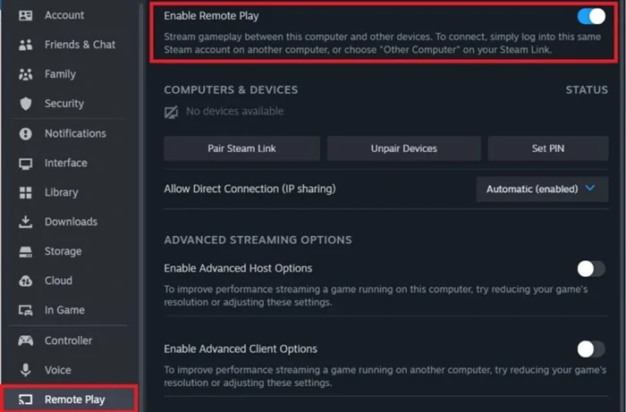 Steam Remote Play no funciona 2