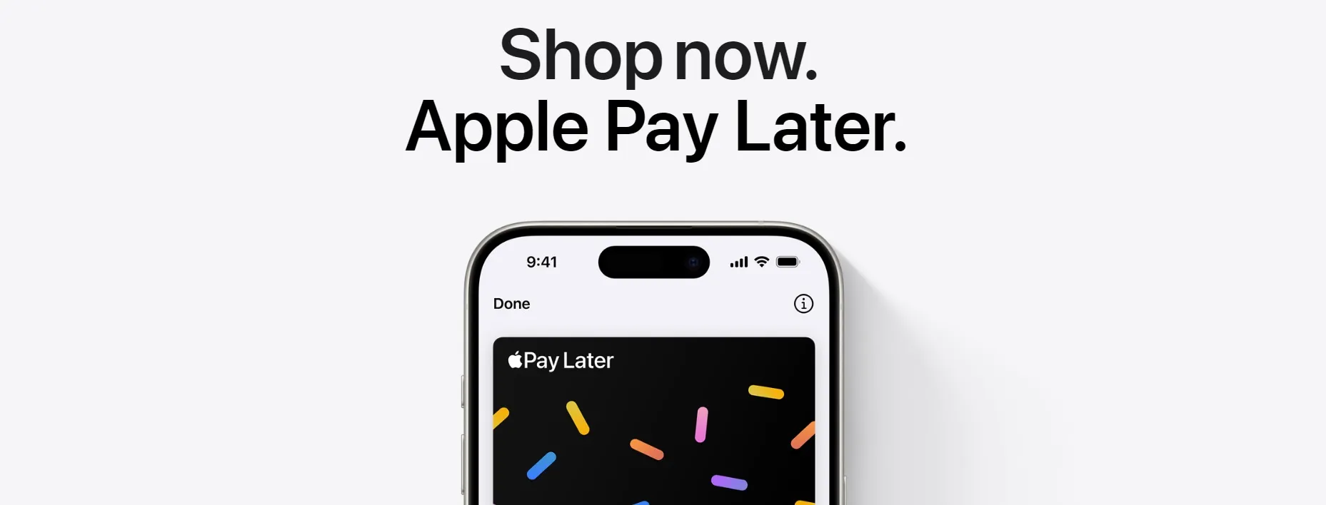 apple pay later