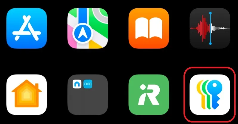 app contraseñas ios 18