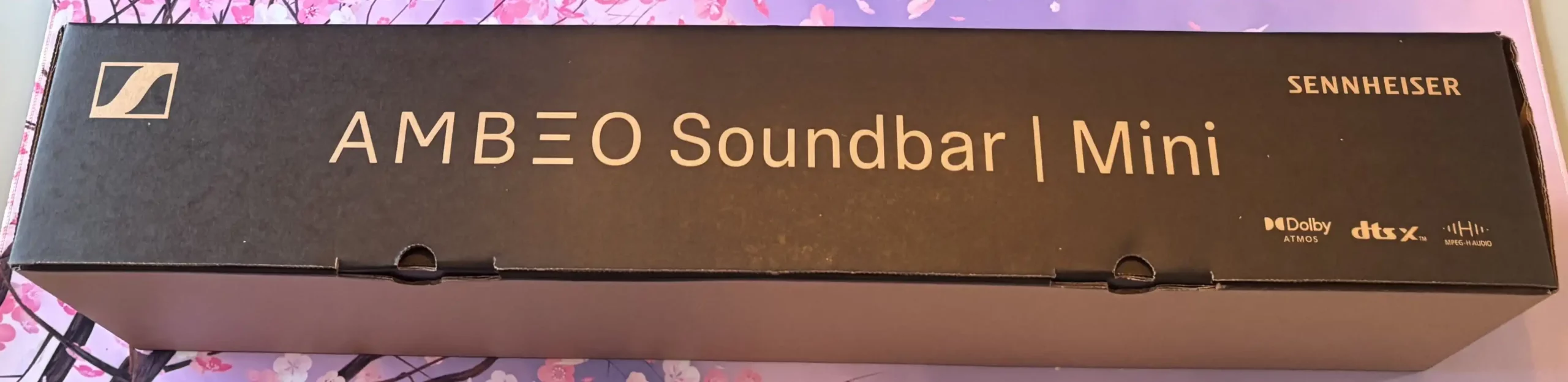 embalaje barra sonido sennheiser ambeo mini