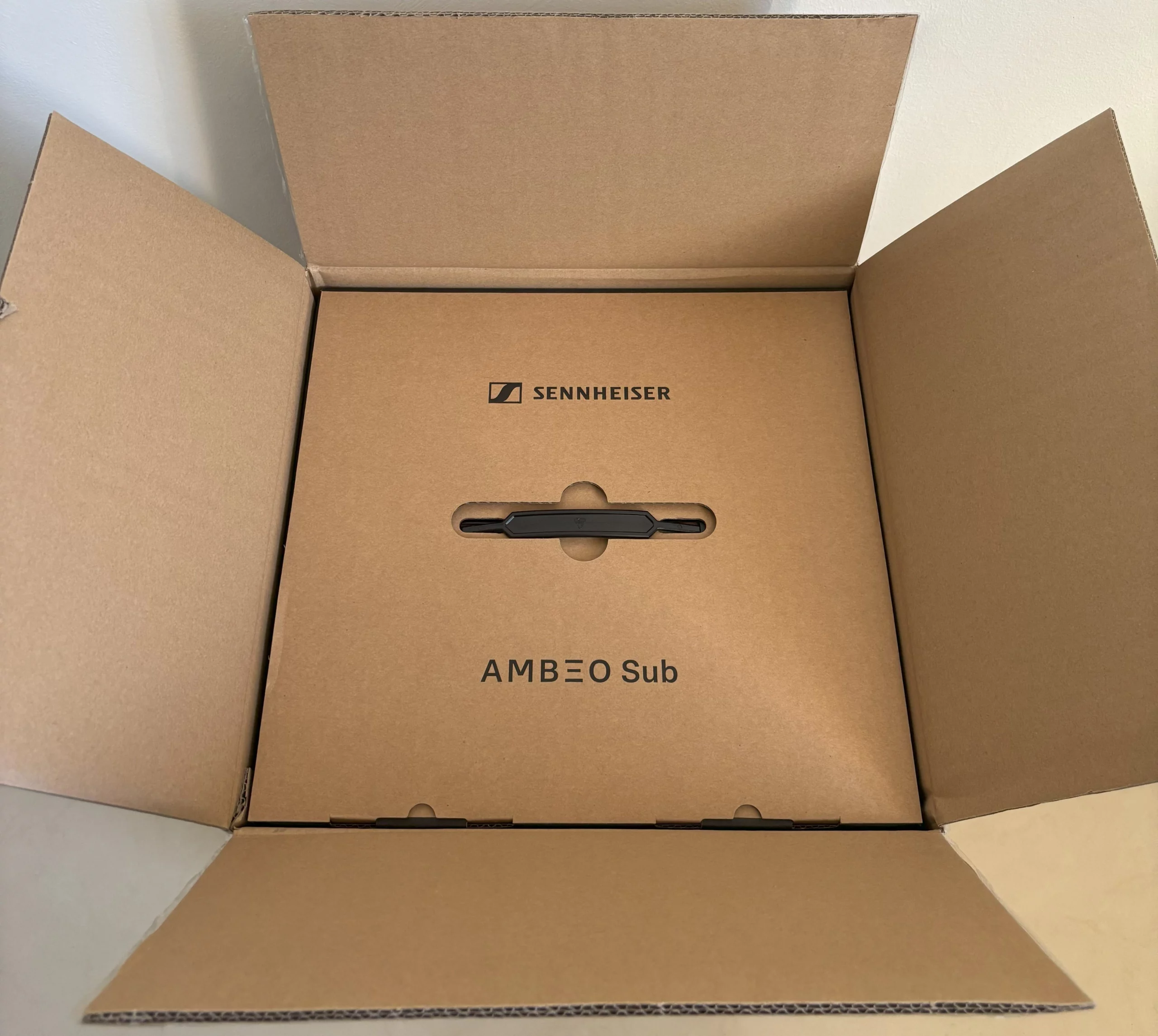 embalaje sennheiser ambeo sub