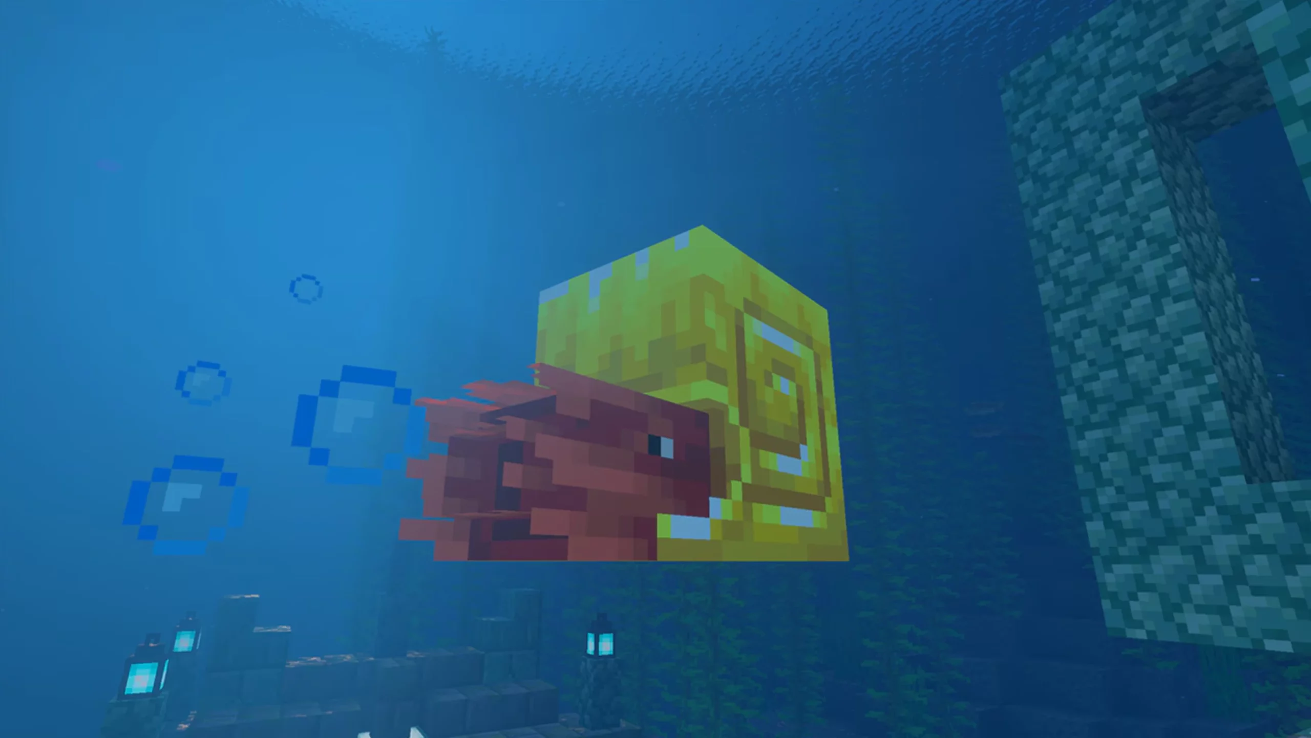 minecraft Nautilus