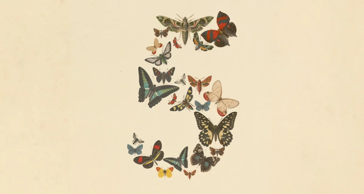 Claude Fable 5 Anthropic